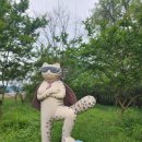 운곡생태습지길 1코스 이미지