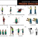 최씨고집 이미지