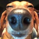 하나로농장-2 이미지