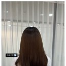 머리샵 - 서산시 | 머리샵