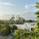 새로운 꿈 이미지