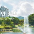 엘리시안강촌콘도 이미지