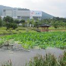 달성군청 이미지