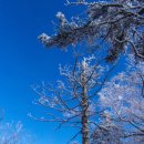 제76회 소명산악회 정기산행(강원도 태백산) 이미지