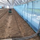 소터농장 이미지