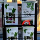 보령시농업기술센터 | 아름다운 꽃과 나무를 볼 수 있는 보령시 농업기술센터 자연학습 식물원