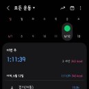 씨소