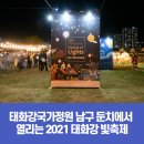 2021 태화강 빛 축제 네이버블로그