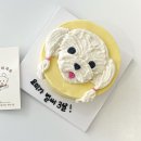 댕댕바게트 이미지