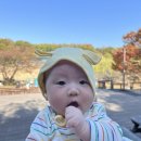 더봄개량한복 이미지