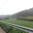 청풍목장 이미지