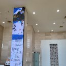 생이소리 | 창원 가볼만한곳 경남도립미술관 전시회 권영석 생이라는 우주 새로운담지자 방상환 장두루