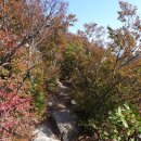 매음2저수지 이미지