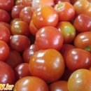 그레이스팜 이미지