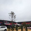 벚꽃한우 이미지