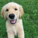 아이러브 동물병원 이미지