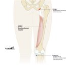 CM Fitness 이미지