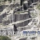 (주)팀씨