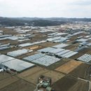 황금알부동산중개 이미지