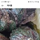 완도건어물 이미지