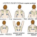 헬썸짐 이미지