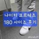 2020-190 | 7세 남아 나이키 코르테즈 키즈 180 사이즈 후기 (feat. 190은 너무 크다 아디다스) 내돈내산