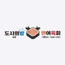 도시의밤연어육회