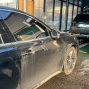 동두천 터틀 프렌즈 이미지