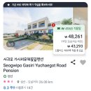 유채꽃길 | 제주 동쪽 주말 5만원대 가성비 숙소 가시리 유채꽃길 펜션