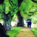 부부일랑 이미지