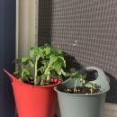 길우농장 이미지