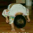 고향마차 이미지