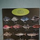 낭만물고기실내바다낚시터 이미지