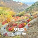 보발재 정상 주차장 | 단양 보발재 전망대 가을 단풍 명소 드라이브 여행 후기