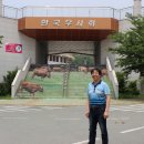 청도소싸움테마파크 이미지