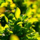 보훈휴양원 이미지