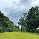 삼랑진커피(sa.m.r.a.n.g.j.i.n. coffee) 이미지