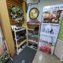 제제스튜디오 사하점 이미지