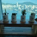 영도공인중개사사무소 이미지