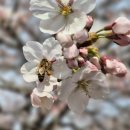 샘터어린이공원 | 속초 "상도문 돌담마을" 시간이 머무는 길~