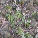 서광동리 이미지