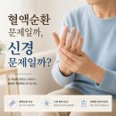 혈액순환에 문제가 있을 때 '나타나는 증상 이미지