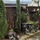 달꽃민박 이미지