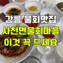 한국지엠장안바로서비스 | 강릉 맛집 사천 물회마을 장안횟집 우럭미역국과 물회 솔직 내돈내산 후기!