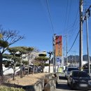 오래뜰 | 진주 숨은 로컬 맛집 오래뜰칼국수 닭칼국수 후기