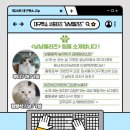 젤리즈펫 이미지