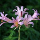 운대2리 이미지