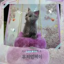 파주소방서 사거리 1 | 파주 아이랑 가볼만한 곳 뮤지엄헤이 5세 관람 후기