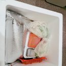 참바다회수산 | 농라 참바다수산, 오징어회 청어회-*