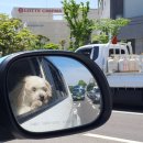 오소록한 벽돌집 이미지